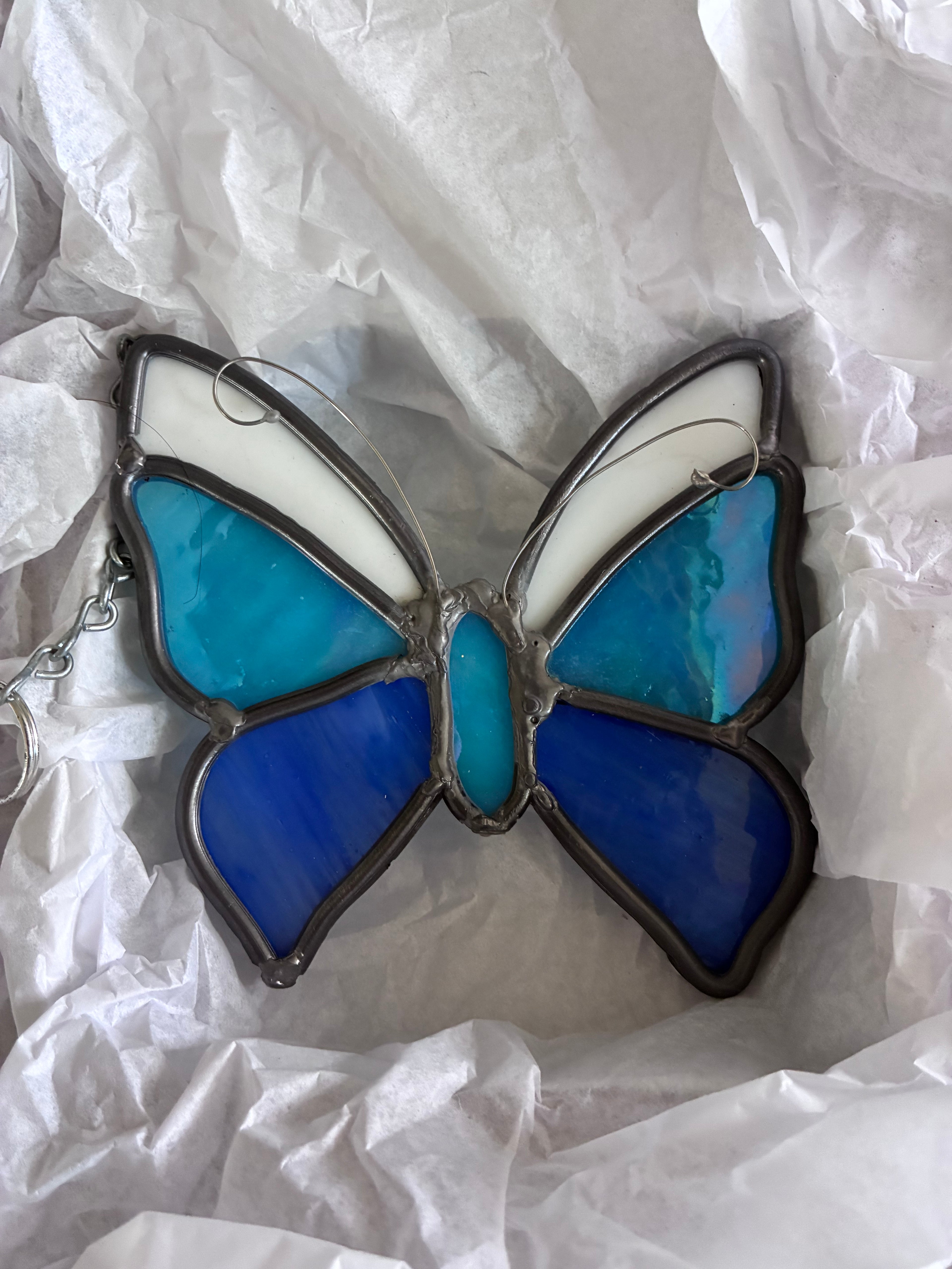 Butterfly in Blues