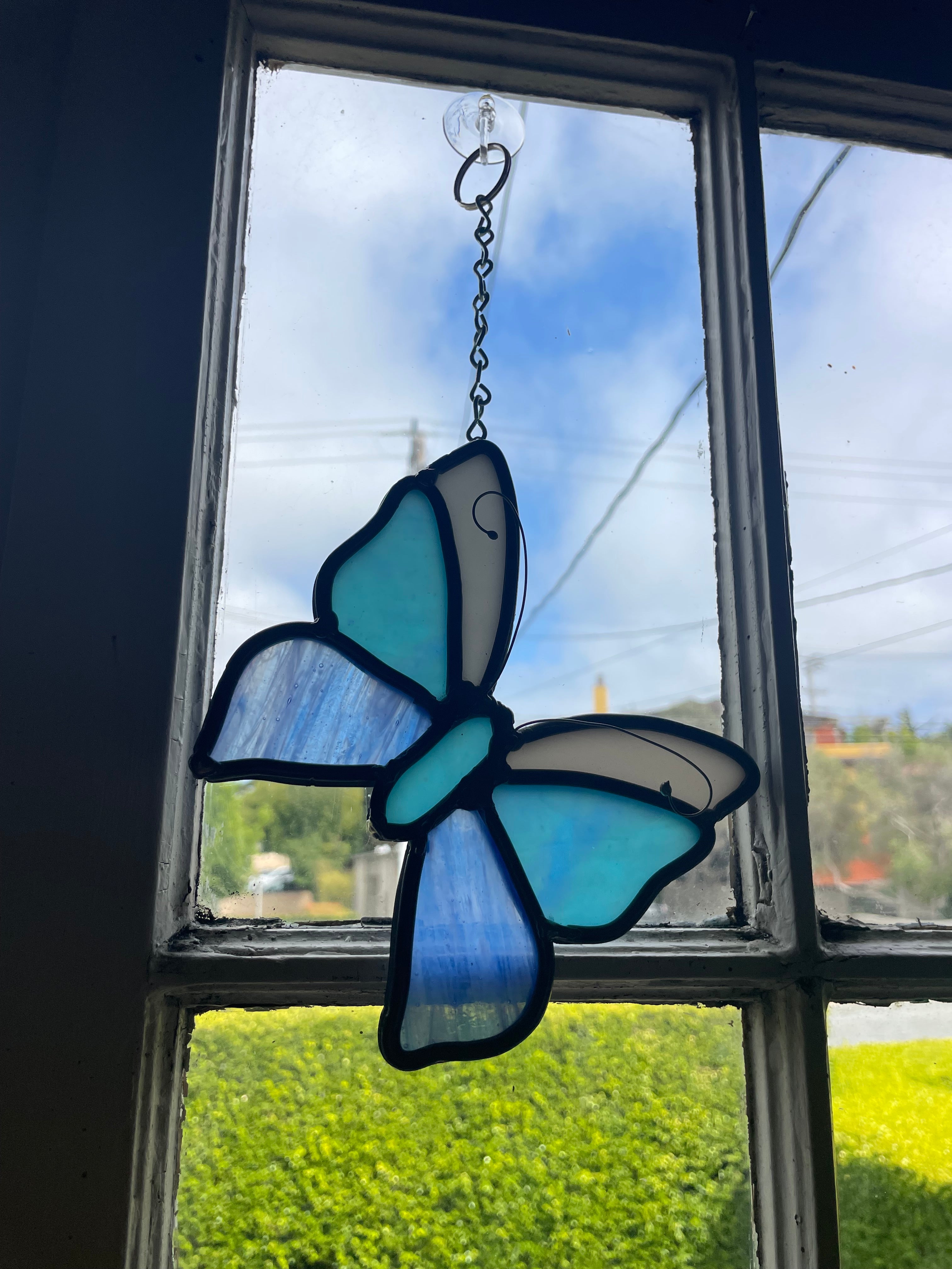 Butterfly in Blues